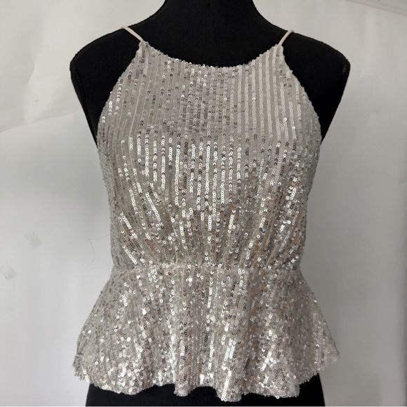 Zara Tops - Zara Trafaluc Collection, Sequin Top - Beige/Silver.  Size: M (US)